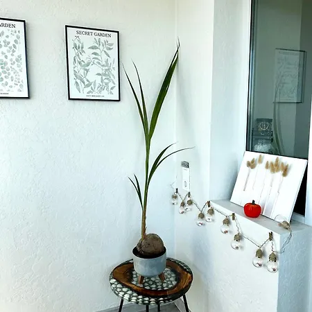 Energy Apartament